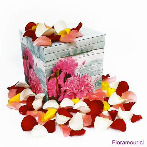 Que suba el romance con una caja de petalos de rosa multicolores. Repartelos generosamente y de una sorpresa divertida. Decora tu habitacion o mesa para una cena inolvidable con tu ser querido.
